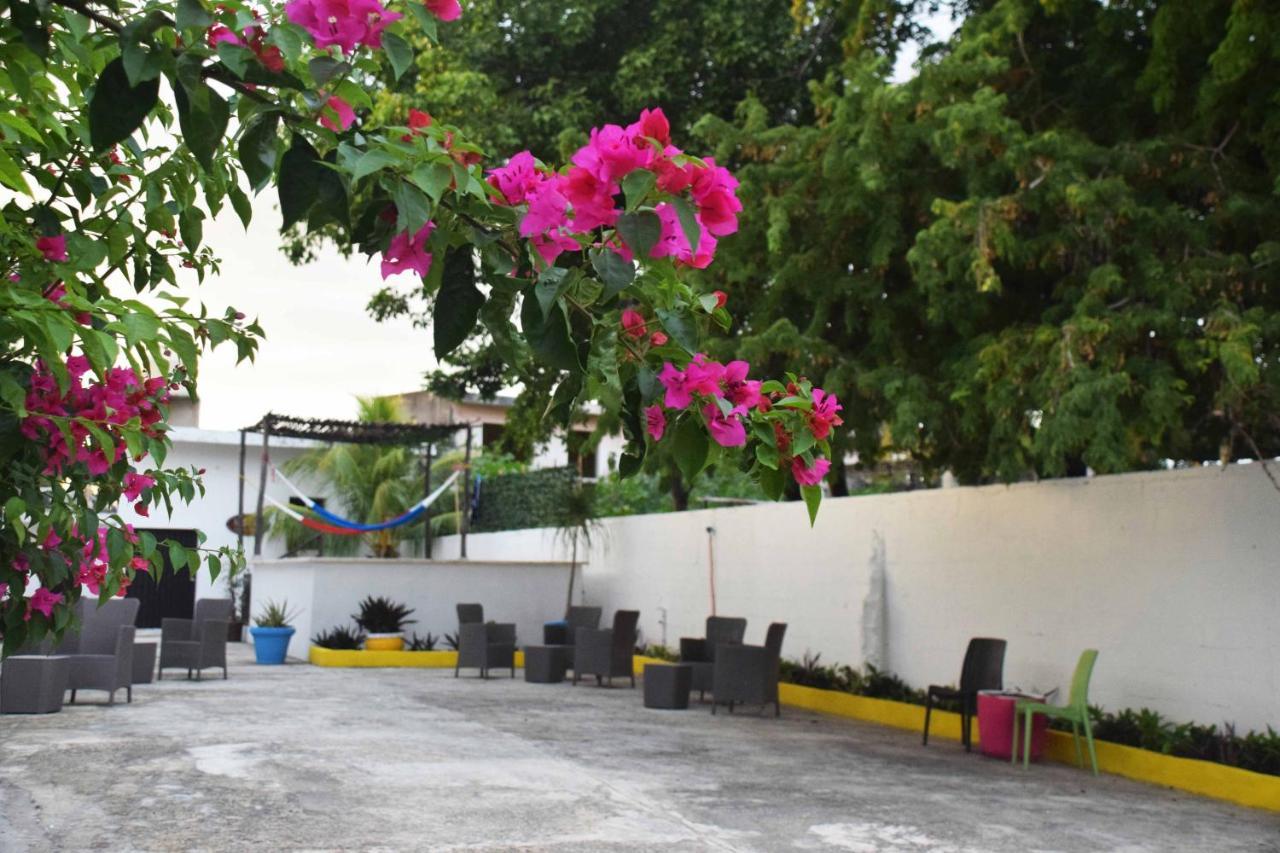 Hostal Casa Bohemia ميريدا المظهر الخارجي الصورة