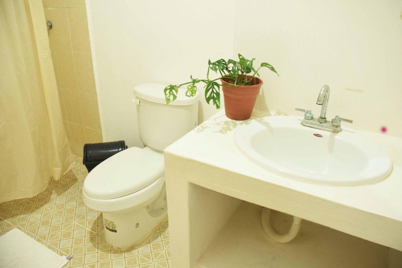 Hostal Casa Bohemia ميريدا المظهر الخارجي الصورة