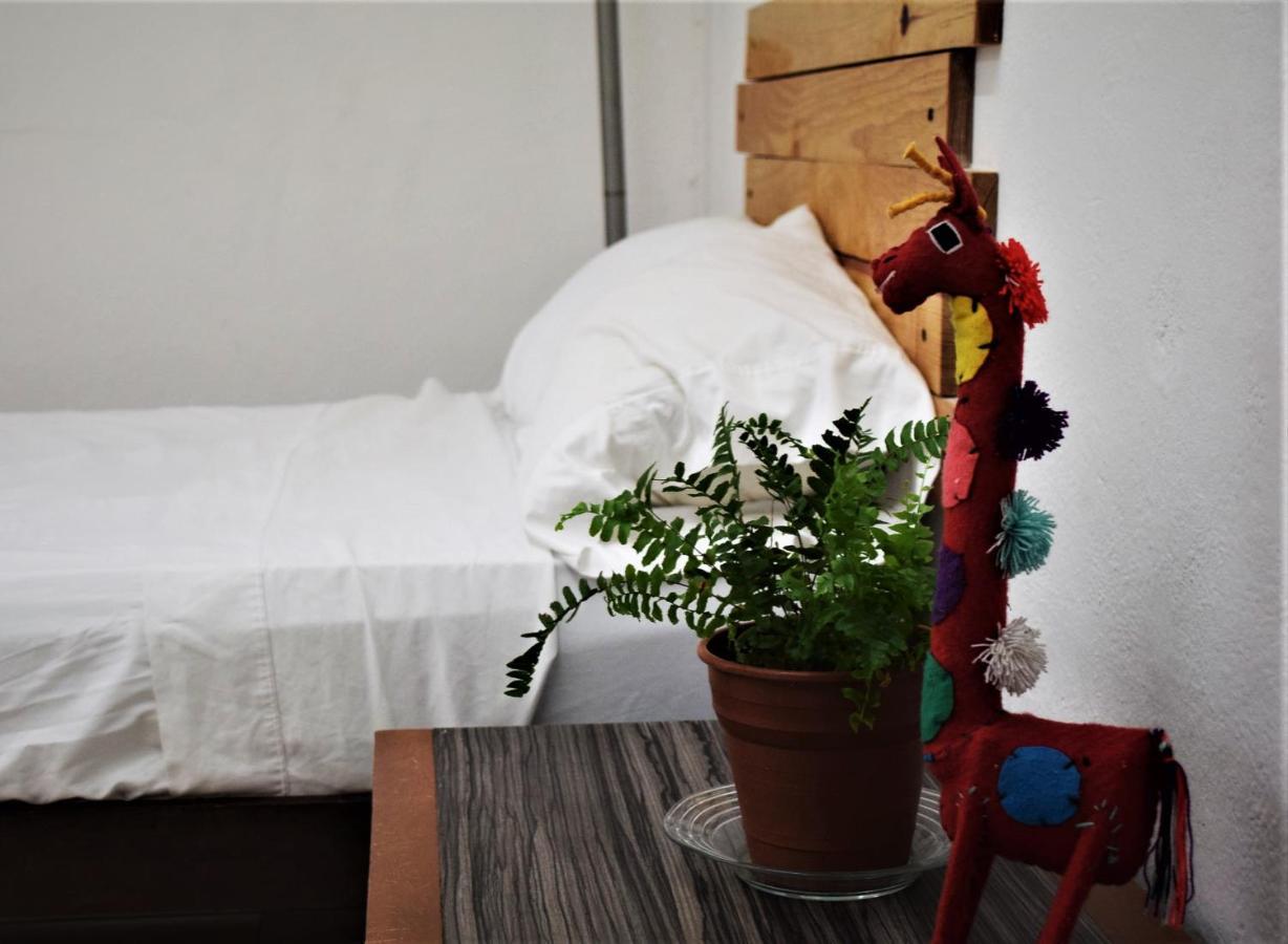 Hostal Casa Bohemia ميريدا المظهر الخارجي الصورة